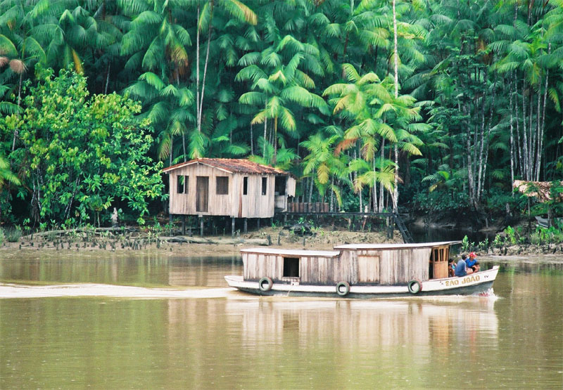 amazonas