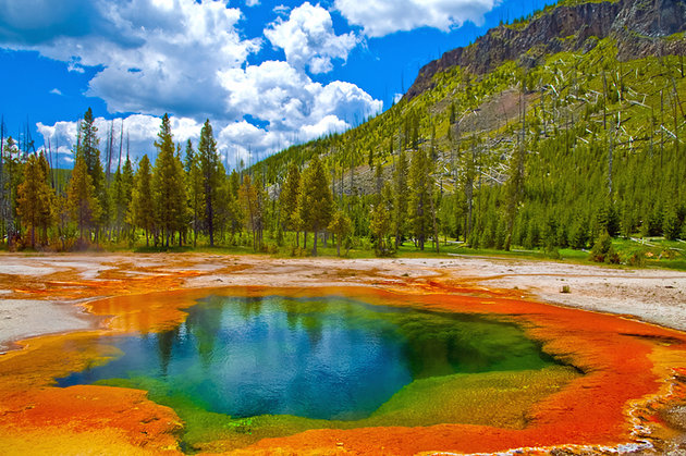 yellowstone