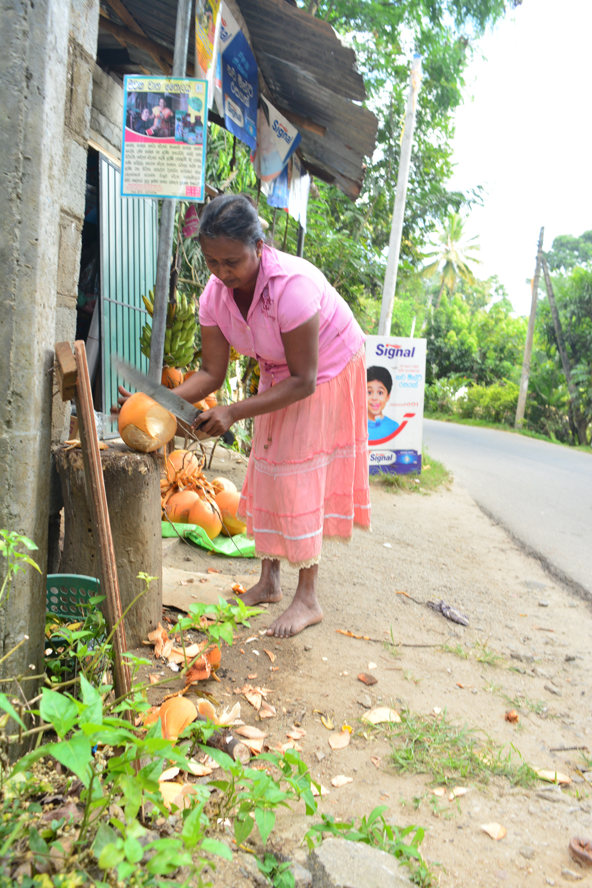 dia-22-kandy-08